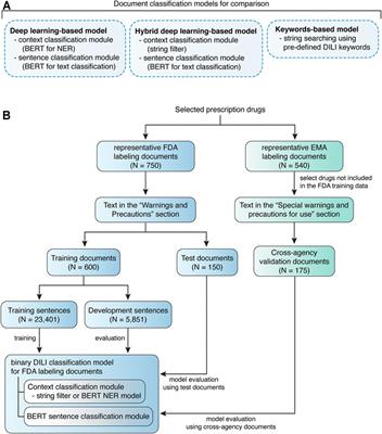 BERT-Based Natural Language Processing of Drug Labeling Documents: A Case Study for Classifying Drug-Induced Liver Injury Risk